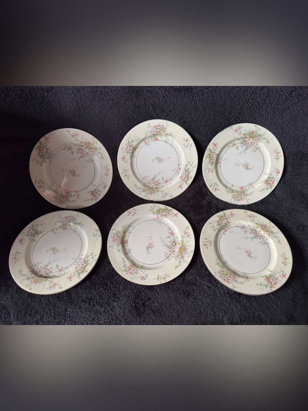 8.5" Theodore Haviland New York Apple Blossom Set of 6 Salad Luncheon Plates